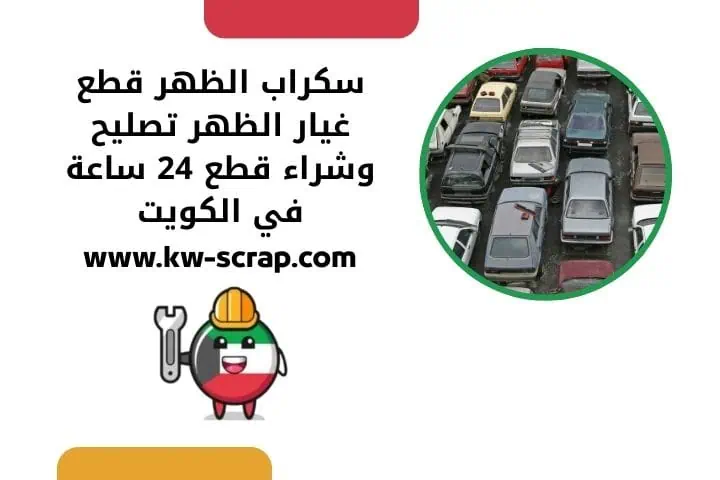 خدمة سكراب الظهر